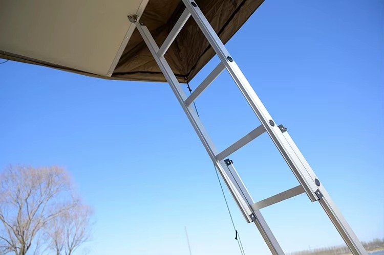 Telescopic Ladder